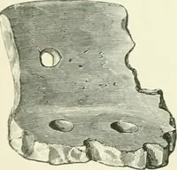 An illustration from Pre-historic times: as illustrated by ancient remains and the manners and customs of modern savages (1900)