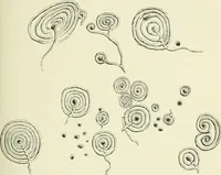 An illustration from Pre-historic times: as illustrated by ancient remains and the manners and customs of modern savages (1900)