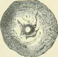 An illustration from Pre-historic times: as illustrated by ancient remains and the manners and customs of modern savages (1900)