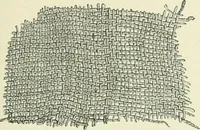 An illustration from Pre-historic times: as illustrated by ancient remains and the manners and customs of modern savages (1900)