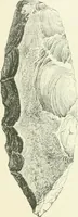 An illustration from Pre-historic times: as illustrated by ancient remains and the manners and customs of modern savages (1900)