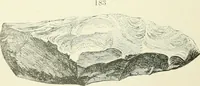 An illustration from Pre-historic times: as illustrated by ancient remains and the manners and customs of modern savages (1900)