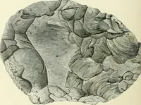 An illustration from Pre-historic times: as illustrated by ancient remains and the manners and customs of modern savages (1900)