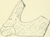 An illustration from Pre-historic times: as illustrated by ancient remains and the manners and customs of modern savages (1900)
