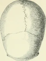 An illustration from Pre-historic times: as illustrated by ancient remains and the manners and customs of modern savages (1900)