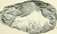 An illustration from Pre-historic times: as illustrated by ancient remains and the manners and customs of modern savages (1900)