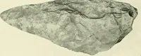 An illustration from Pre-historic times: as illustrated by ancient remains and the manners and customs of modern savages (1900)