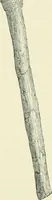 An illustration from Pre-historic times: as illustrated by ancient remains and the manners and customs of modern savages (1900)