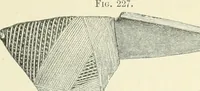Picture 130 of 139 from Pre-historic times: as illustrated by ancient remains and the manners and customs of modern savages (1900), leaf 566