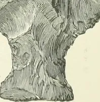 Picture 136 of 139 from Pre-historic times: as illustrated by ancient remains and the manners and customs of modern savages (1900), leaf 594