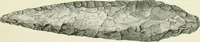 An illustration from Pre-historic times: as illustrated by ancient remains and the manners and customs of modern savages (1900)
