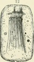 Picture 7 of 139 from Pre-historic times: as illustrated by ancient remains and the manners and customs of modern savages (1900), leaf 66