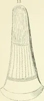 An illustration from Pre-historic times: as illustrated by ancient remains and the manners and customs of modern savages (1900)