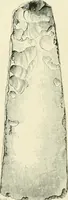 An illustration from Pre-historic times: as illustrated by ancient remains and the manners and customs of modern savages (1900)