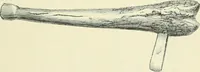 An illustration from Pre-historic times: as illustrated by ancient remains and the manners and customs of modern savages (1900)