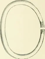 An illustration from Pre-historic times: as illustrated by ancient remains and the manners and customs of modern savages (1900)