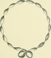 An illustration from Pre-historic times: as illustrated by ancient remains and the manners and customs of modern savages (1900)
