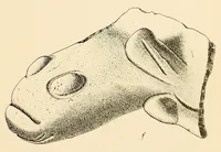 An illustration from Prehistoric objects from a shell-heap at Erin bay, Trinidad (1914)