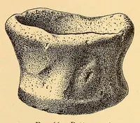 An illustration from Prehistoric objects from a shell-heap at Erin bay, Trinidad (1914)