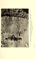 Picture 6 of 14 from Prehistoric Rhodesia; an examination of the historical, ethnological and archaeological evidencesas to the origin and age of the rock mines and stone buildings, with a gazetteer of mediaeval south -east Africa, 915 A.D. to 1760 A.D., and the countries of the Monomotapa, Manica, Sabia, Quiteve, Sofala, and Mozambique (1909), leaf 313