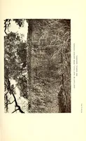 Picture 11 of 14 from Prehistoric Rhodesia; an examination of the historical, ethnological and archaeological evidencesas to the origin and age of the rock mines and stone buildings, with a gazetteer of mediaeval south -east Africa, 915 A.D. to 1760 A.D., and the countries of the Monomotapa, Manica, Sabia, Quiteve, Sofala, and Mozambique (1909), leaf 435