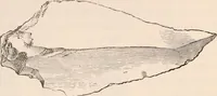 An illustration from Pre-historic times, as illustrated by ancient remains and the manners and customs of modern savages (1892)
