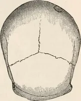 An illustration from Pre-historic times, as illustrated by ancient remains and the manners and customs of modern savages (1892)