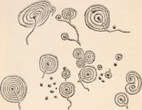 An illustration from Pre-historic times, as illustrated by ancient remains and the manners and customs of modern savages (1892)