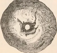 An illustration from Pre-historic times, as illustrated by ancient remains and the manners and customs of modern savages (1892)