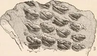 An illustration from Pre-historic times, as illustrated by ancient remains and the manners and customs of modern savages (1892)