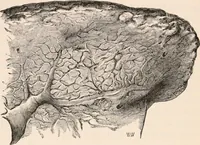 An illustration from Pre-historic times, as illustrated by ancient remains and the manners and customs of modern savages (1892)