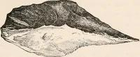 An illustration from Pre-historic times, as illustrated by ancient remains and the manners and customs of modern savages (1892)