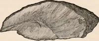 An illustration from Pre-historic times, as illustrated by ancient remains and the manners and customs of modern savages (1892)