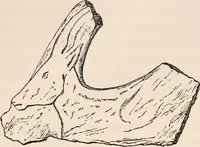 An illustration from Pre-historic times, as illustrated by ancient remains and the manners and customs of modern savages (1892)