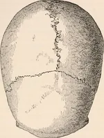 An illustration from Pre-historic times, as illustrated by ancient remains and the manners and customs of modern savages (1892)