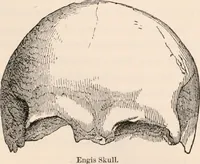 Picture 125 of 151 from Pre-historic times, as illustrated by ancient remains and the manners and customs of modern savages (1892), leaf 373
