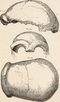 An illustration from Pre-historic times, as illustrated by ancient remains and the manners and customs of modern savages (1892)