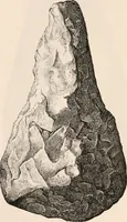 An illustration from Pre-historic times, as illustrated by ancient remains and the manners and customs of modern savages (1892)