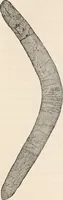 An illustration from Pre-historic times, as illustrated by ancient remains and the manners and customs of modern savages (1892)