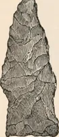 An illustration from Pre-historic times, as illustrated by ancient remains and the manners and customs of modern savages (1892)