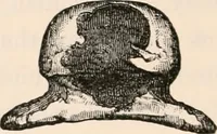 An illustration from Pre-historic times, as illustrated by ancient remains and the manners and customs of modern savages (1892)