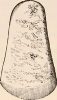 An illustration from Pre-historic times, as illustrated by ancient remains and the manners and customs of modern savages (1892)