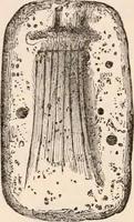 An illustration from Pre-historic times, as illustrated by ancient remains and the manners and customs of modern savages (1892)
