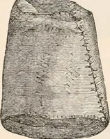 An illustration from Pre-historic times, as illustrated by ancient remains and the manners and customs of modern savages (1892)