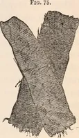 An illustration from Pre-historic times, as illustrated by ancient remains and the manners and customs of modern savages (1892)