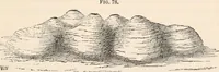 An illustration from Pre-historic times, as illustrated by ancient remains and the manners and customs of modern savages (1892)