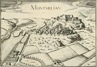 Picture 286 of 470 from Premiere[-seconde] partie, Les plans et profilz de toutes les principalles villes et lieux considerables de France : ensemble les cartes generalles de chascune prouince & les particulières de chasque gouuernement d'icelles (1636), leaf 656