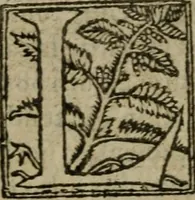 An illustration from Premier livre d'Amadis de Gaule; (1560)