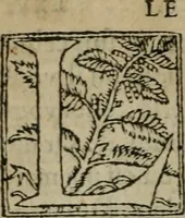 An illustration from Premier livre d'Amadis de Gaule; (1560)