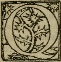 Picture 4 of 57 from Premier livre d'Amadis de Gaule; (1560), leaf 15